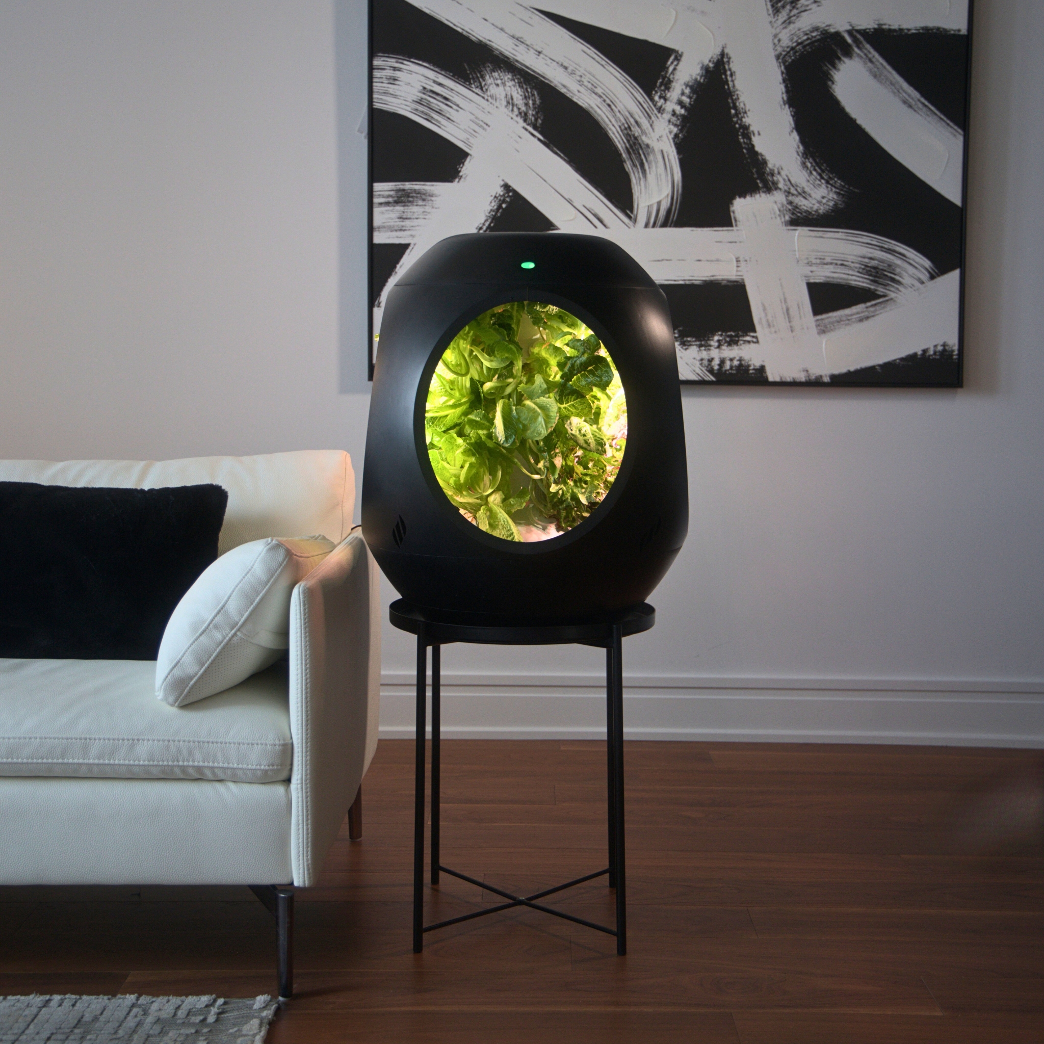 Plantaform hero 1